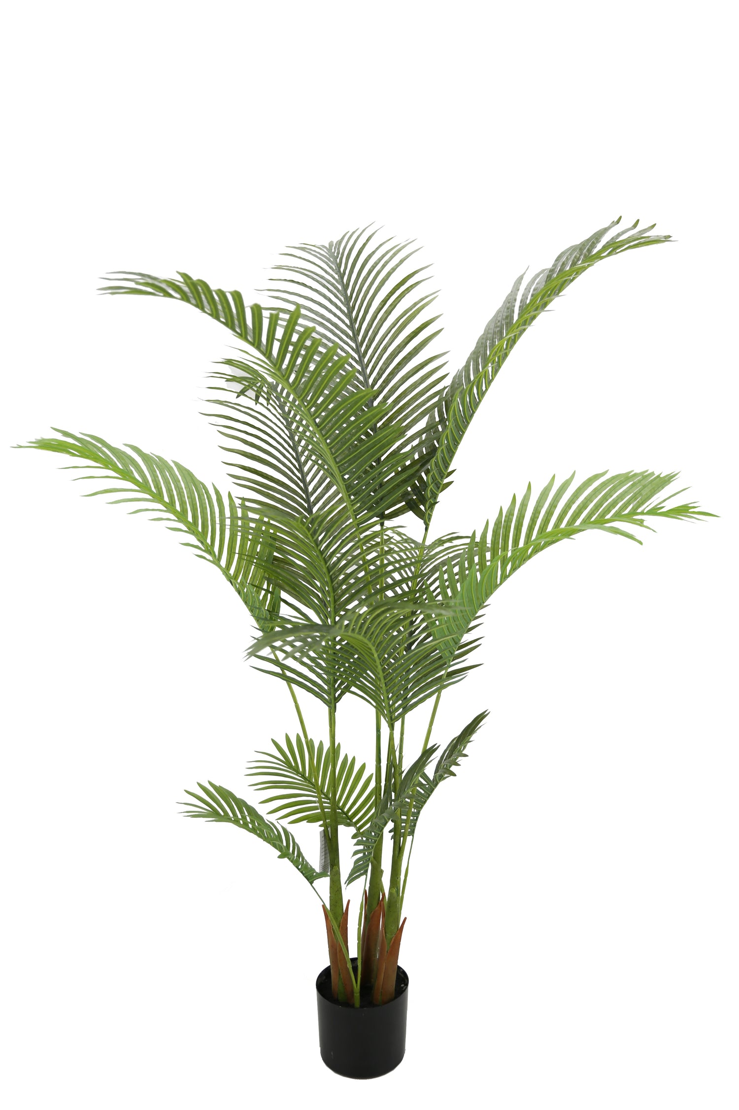 Sunset Palm Tree 225CM