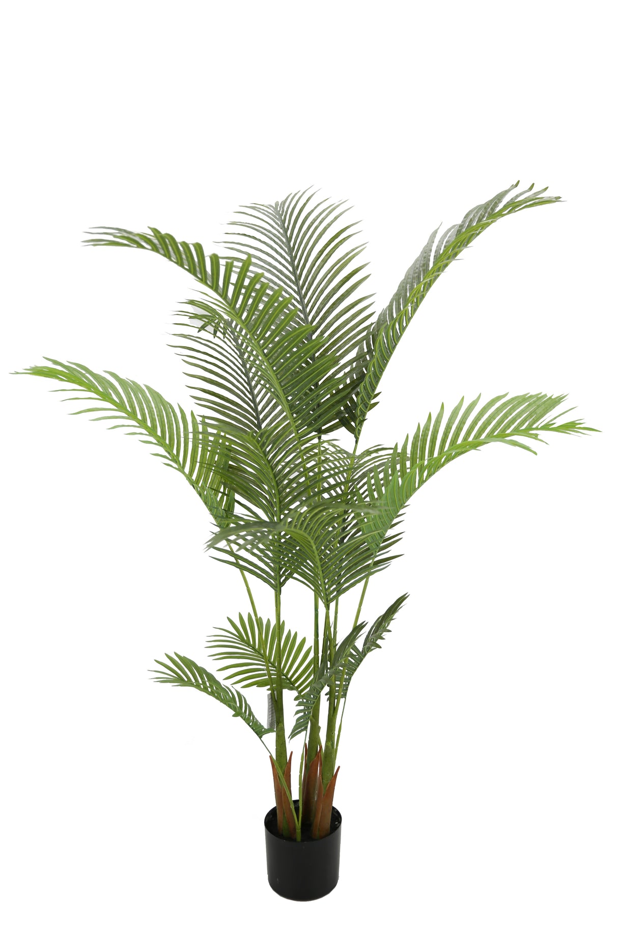 Sunset Palm Tree 225CM