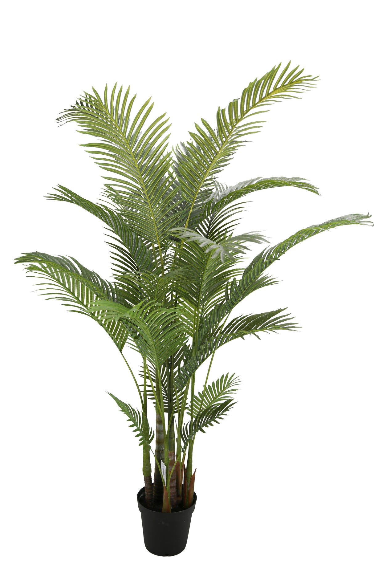 Sunset Palm Tree 225CM