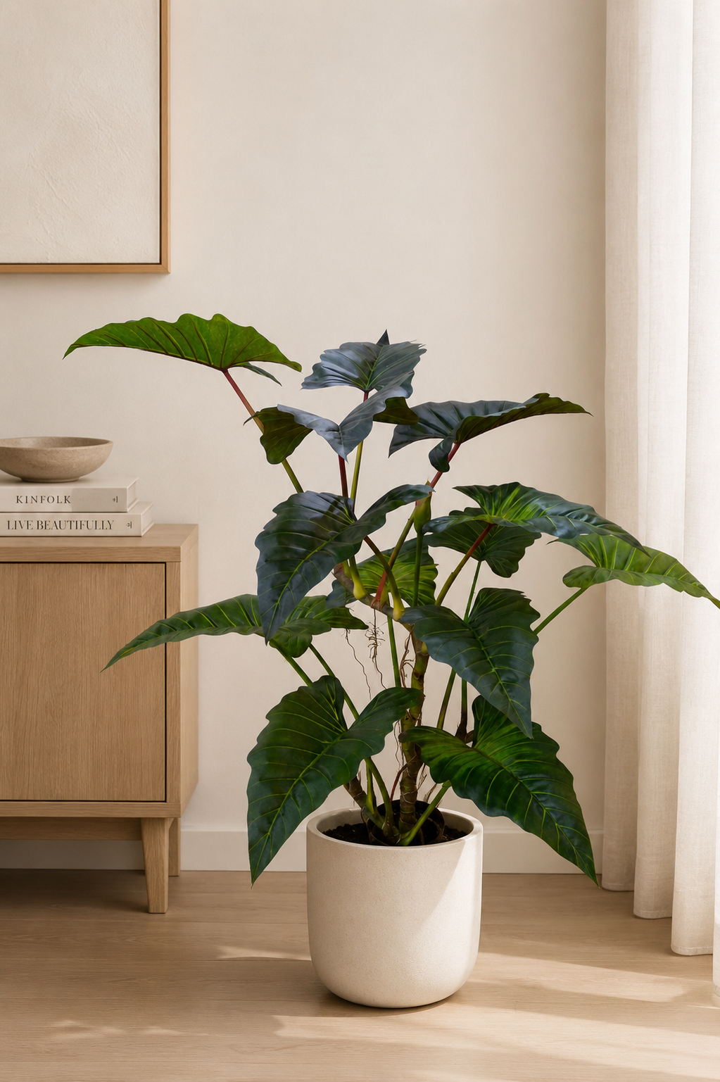 Colocasia Esculenta 175cm