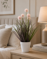 Pompon Plant
