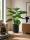 All Plants