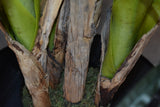 Hawaii Palm Tree 145CM