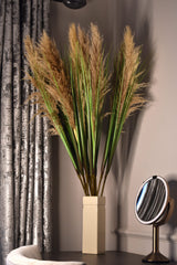 Plume Grass