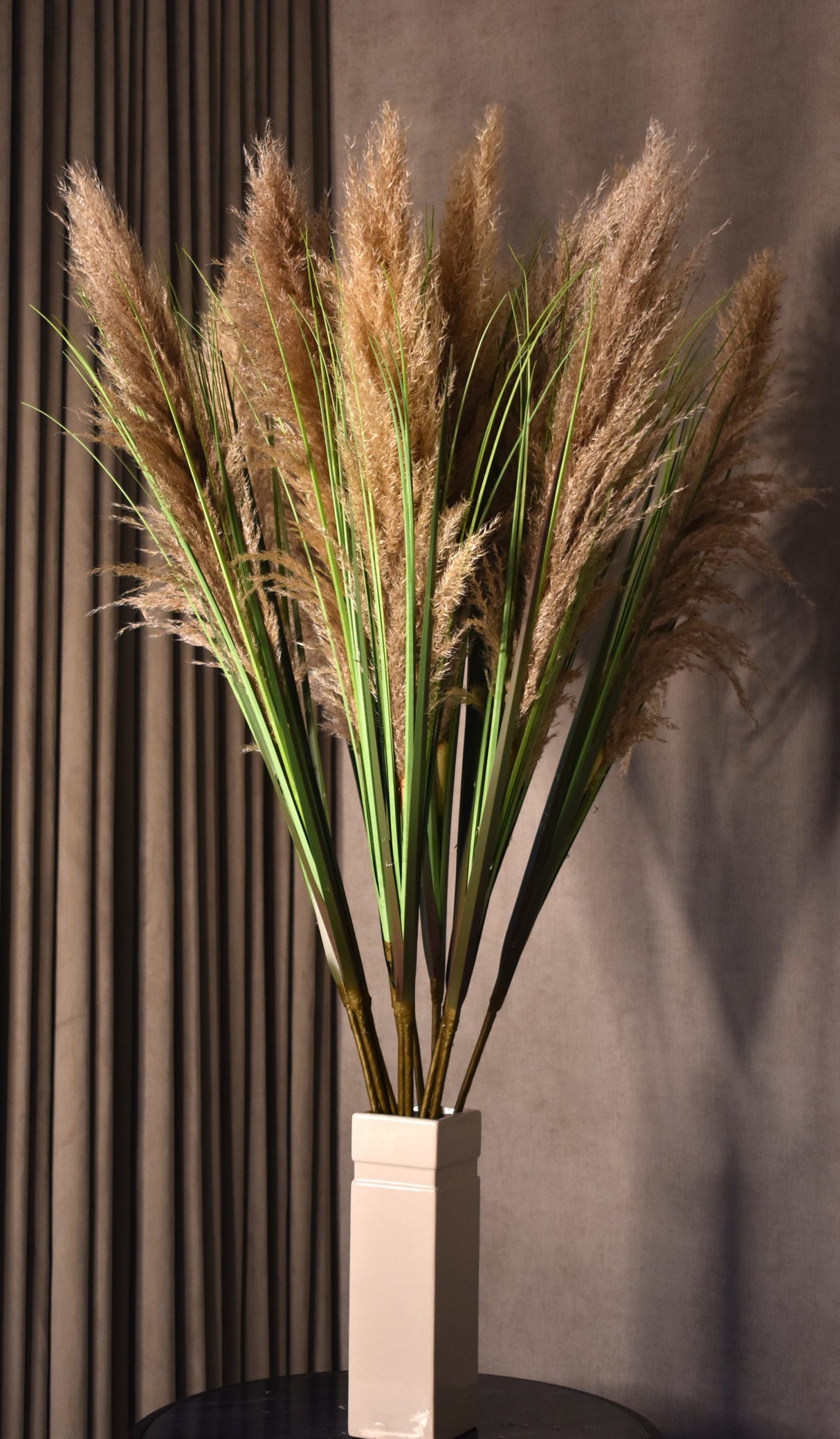 Plume Grass