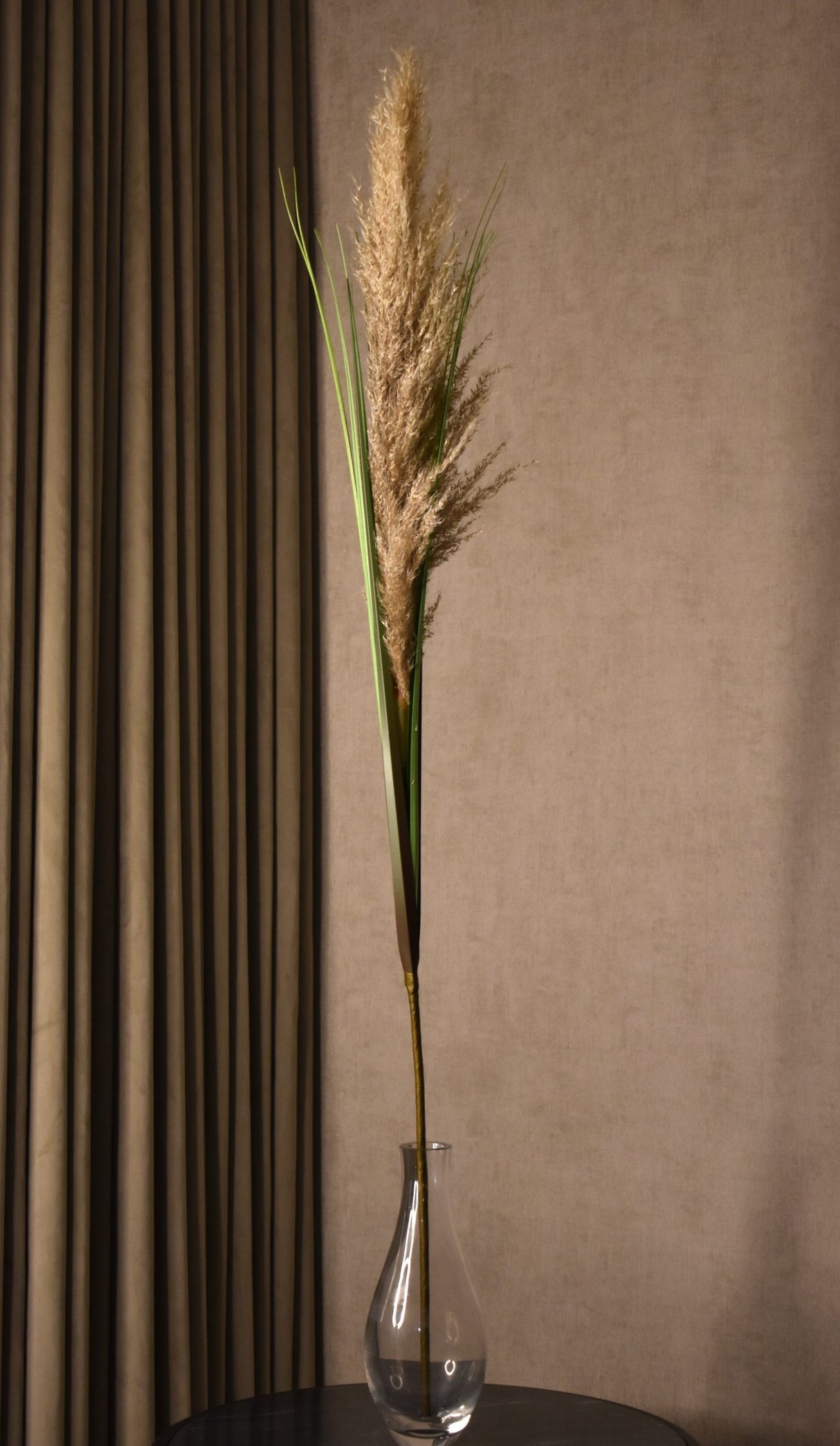 Plume Grass