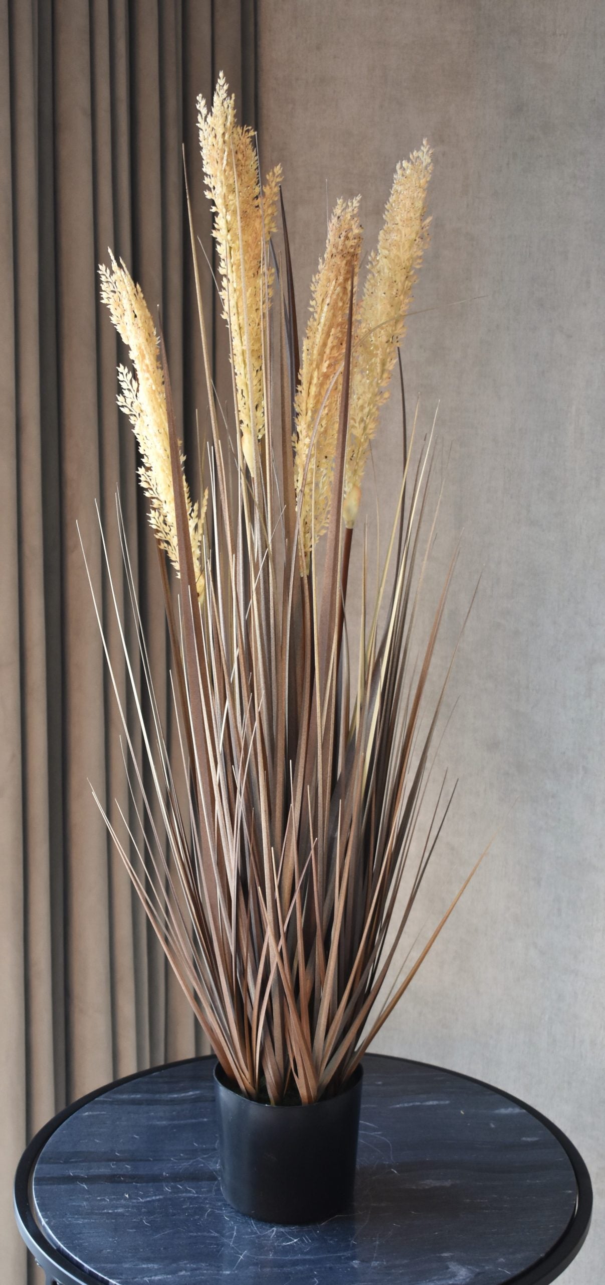 Grain Grass