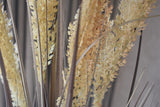 Grain Grass