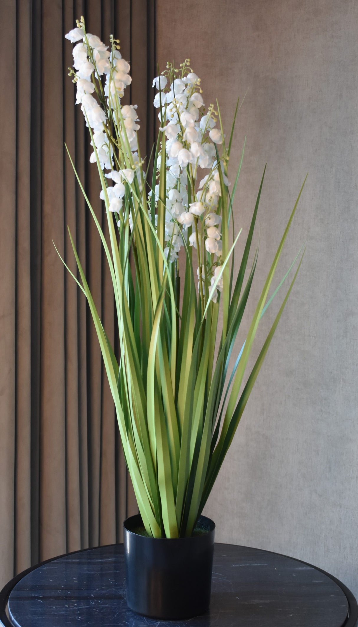 Bellflower Grass
