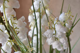 Bellflower Grass