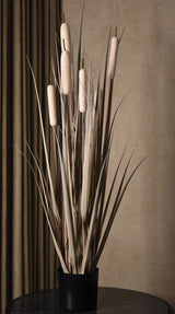 Cattail Grass