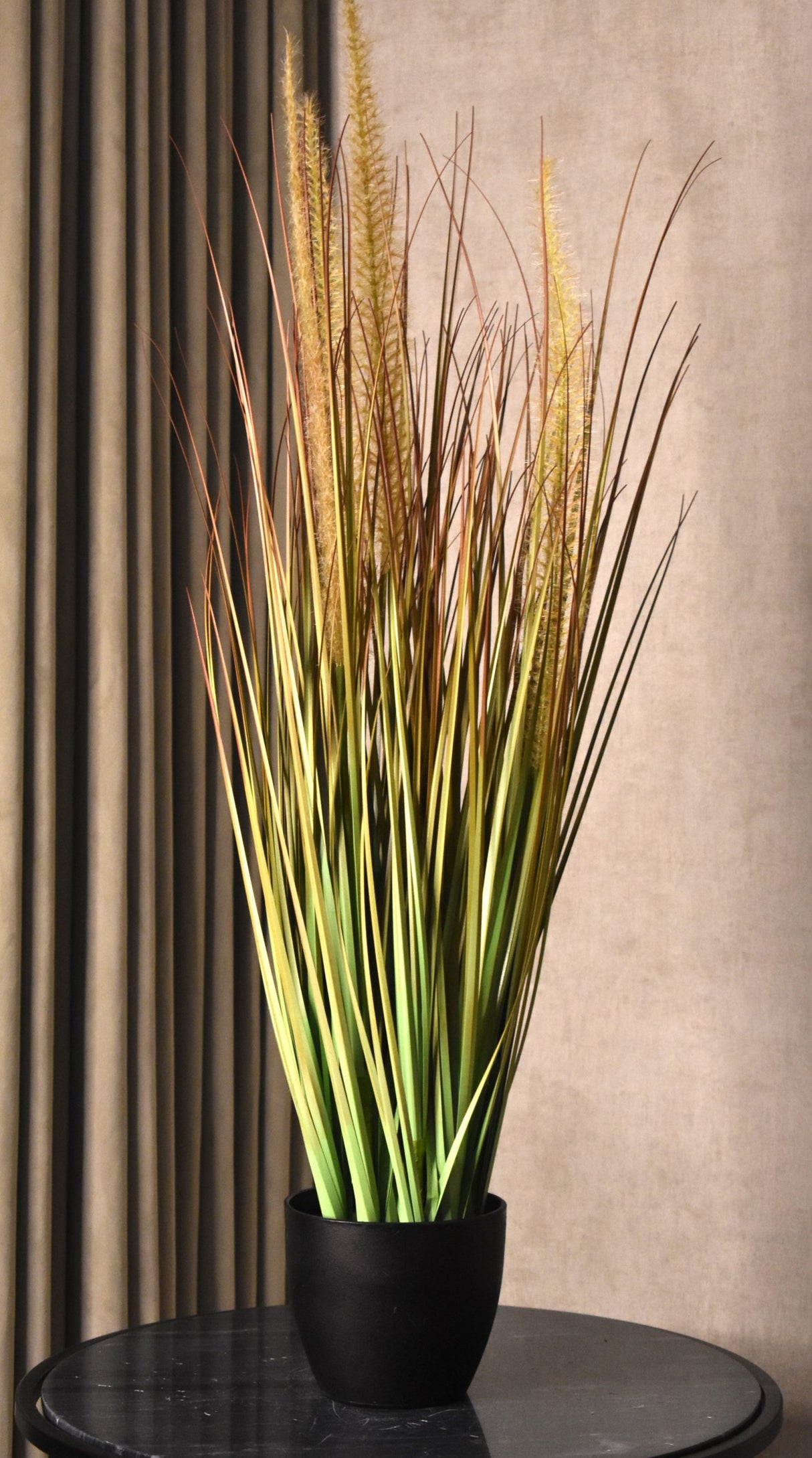 Horsetail Grass