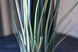 Grass Bundle