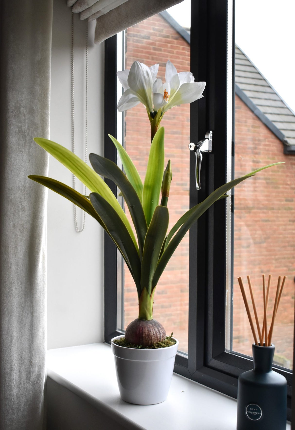 White Amaryllis Plant 80 CM