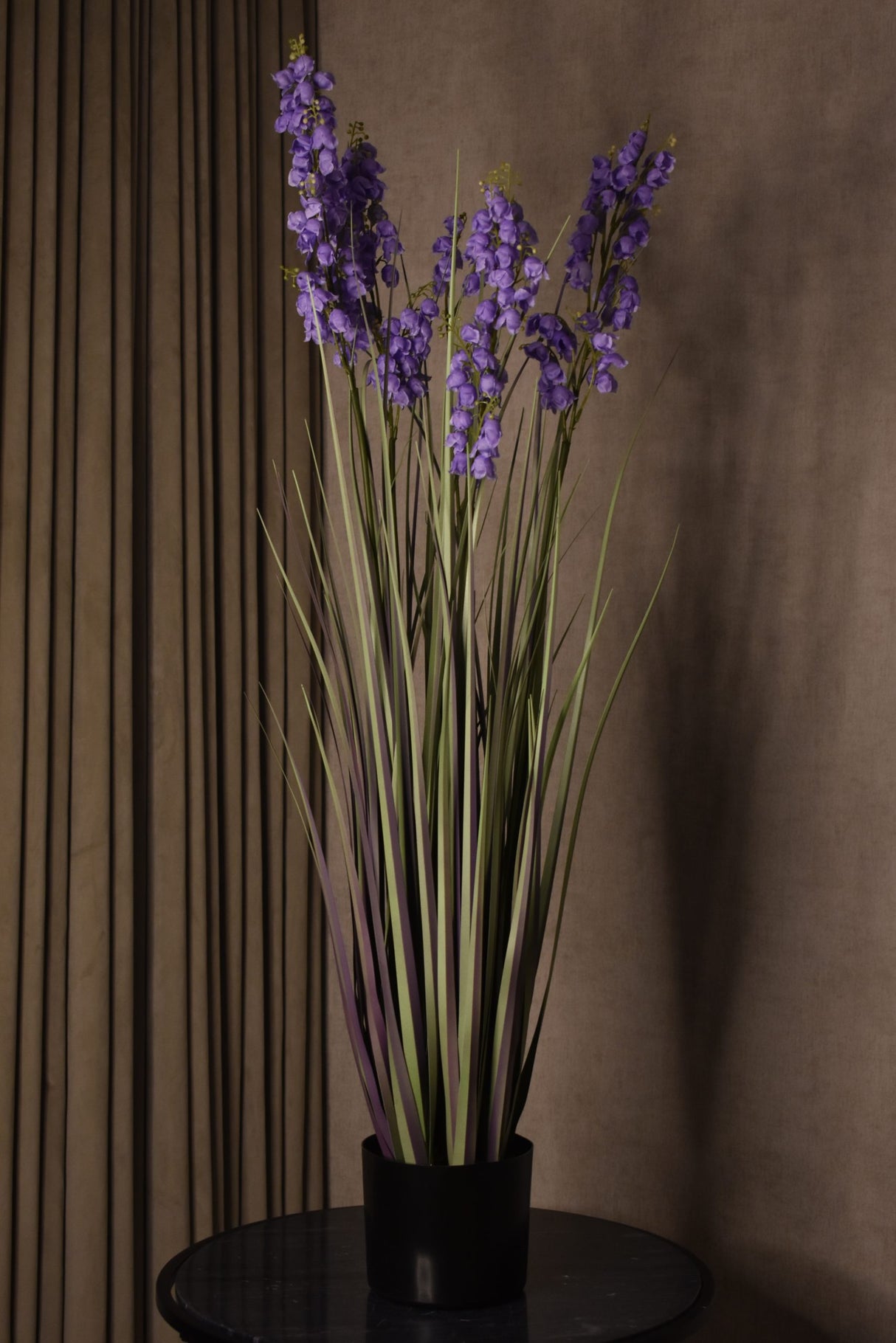 Bellflower Grass