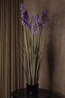 Bellflower Grass