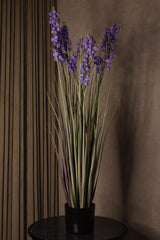 Bellflower Grass