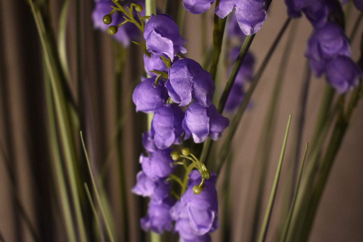 Bellflower Grass