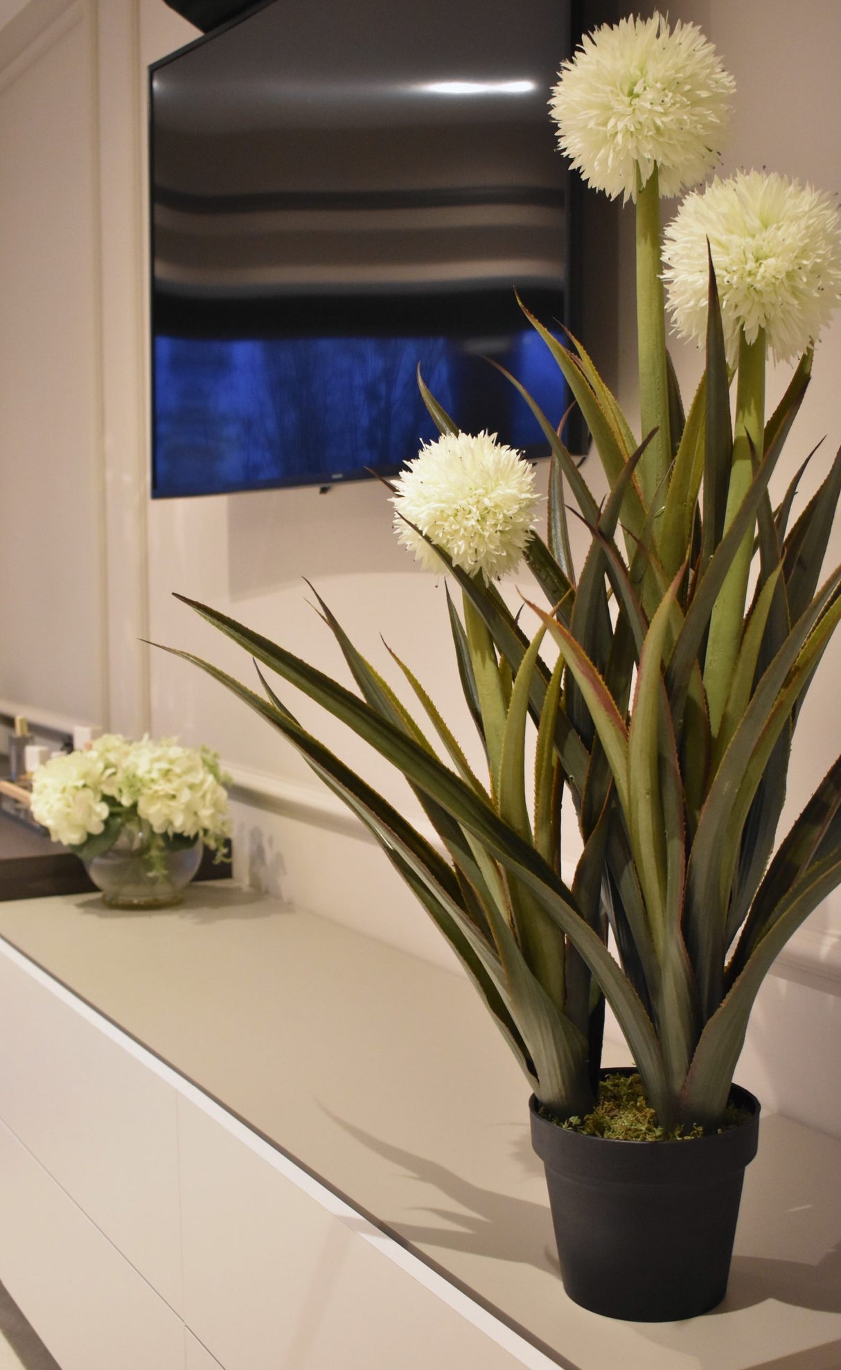 Pineapple Plant