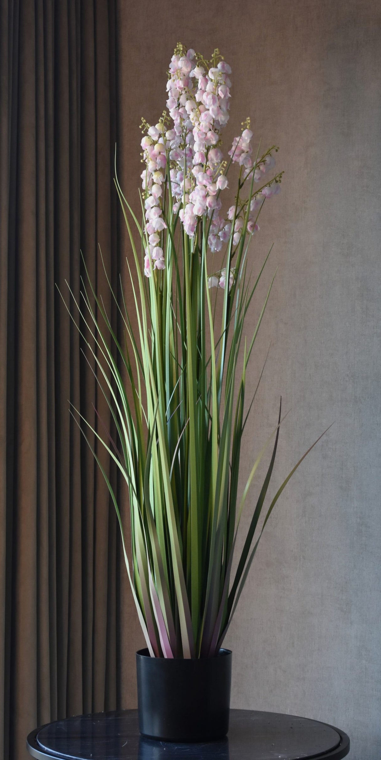 Bellflower Grass