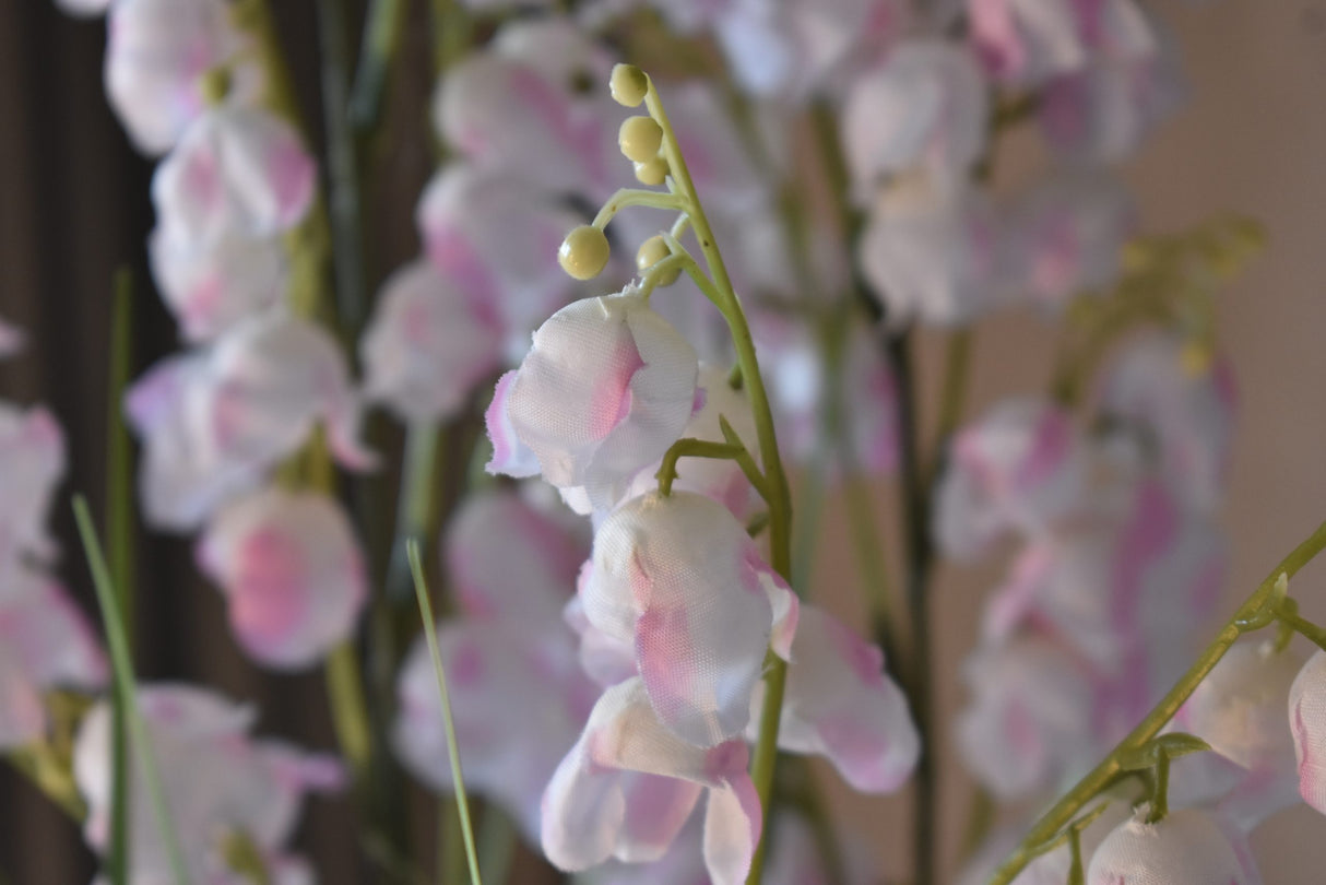 Bellflower Grass