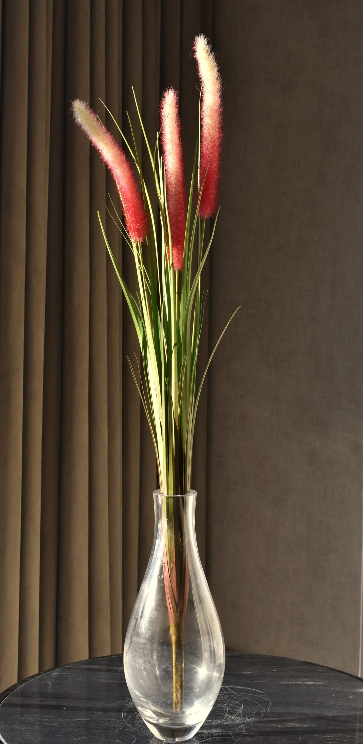 Dogtail Grass