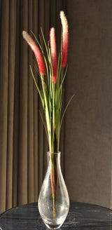 Dogtail Grass