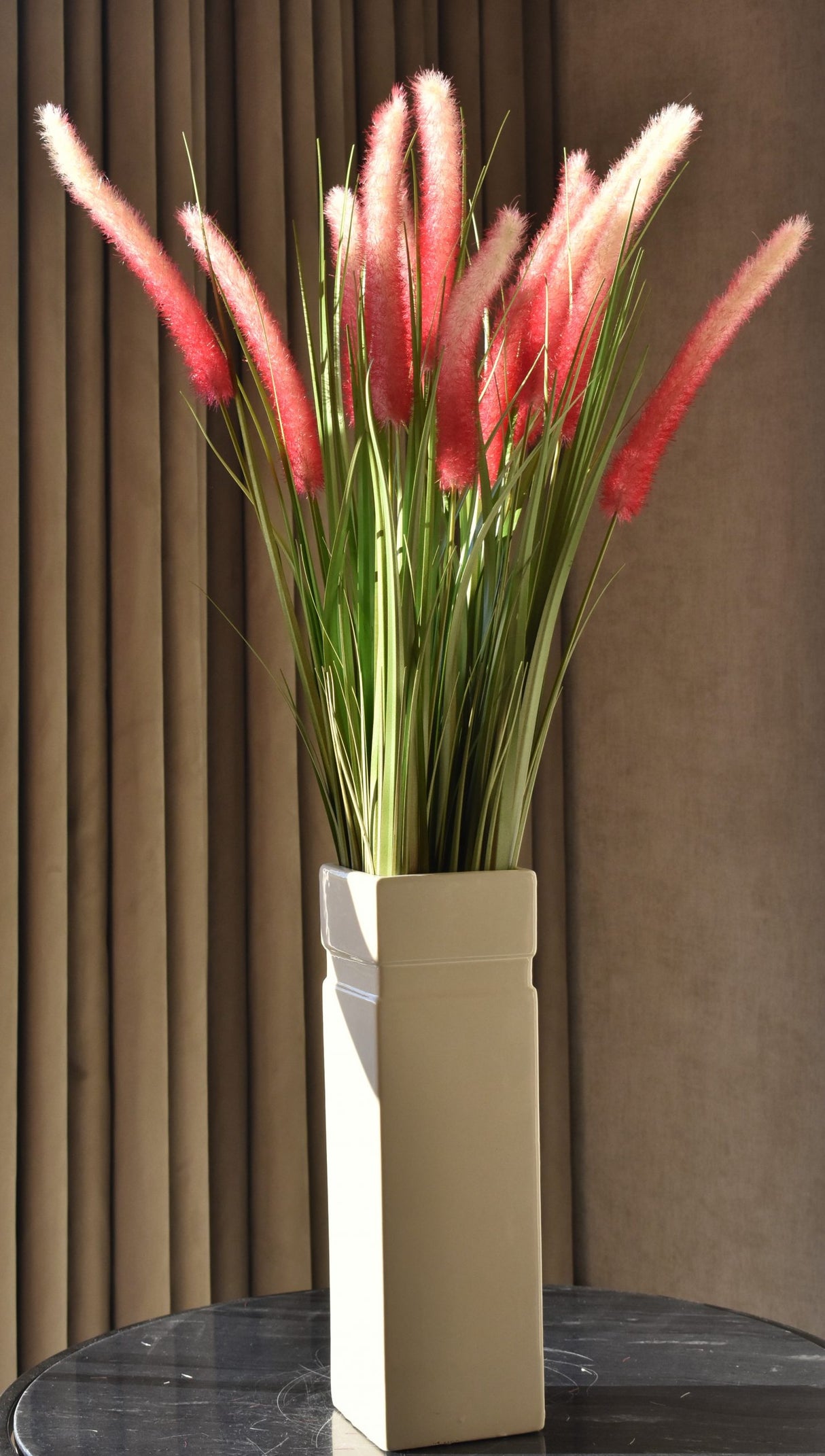 Dogtail Grass