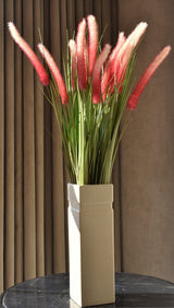 Dogtail Grass
