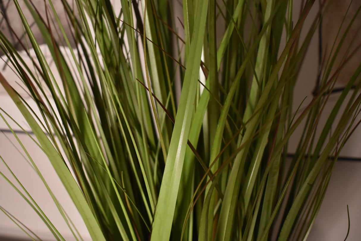 Wild Grass Greenish