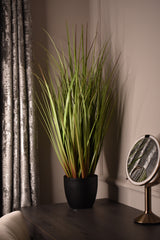 Wild Grass Greenish
