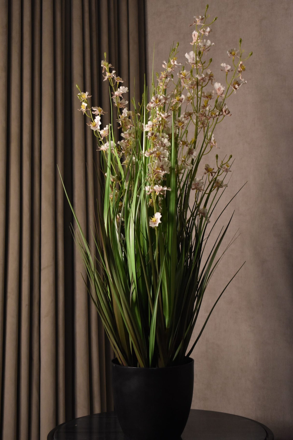 Dancing Orchid Grass