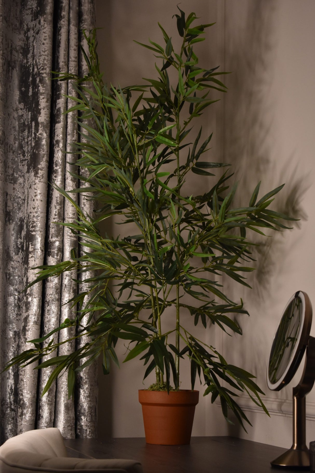 Green Stem Bamboo Plant