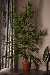 Green Stem Bamboo Plant