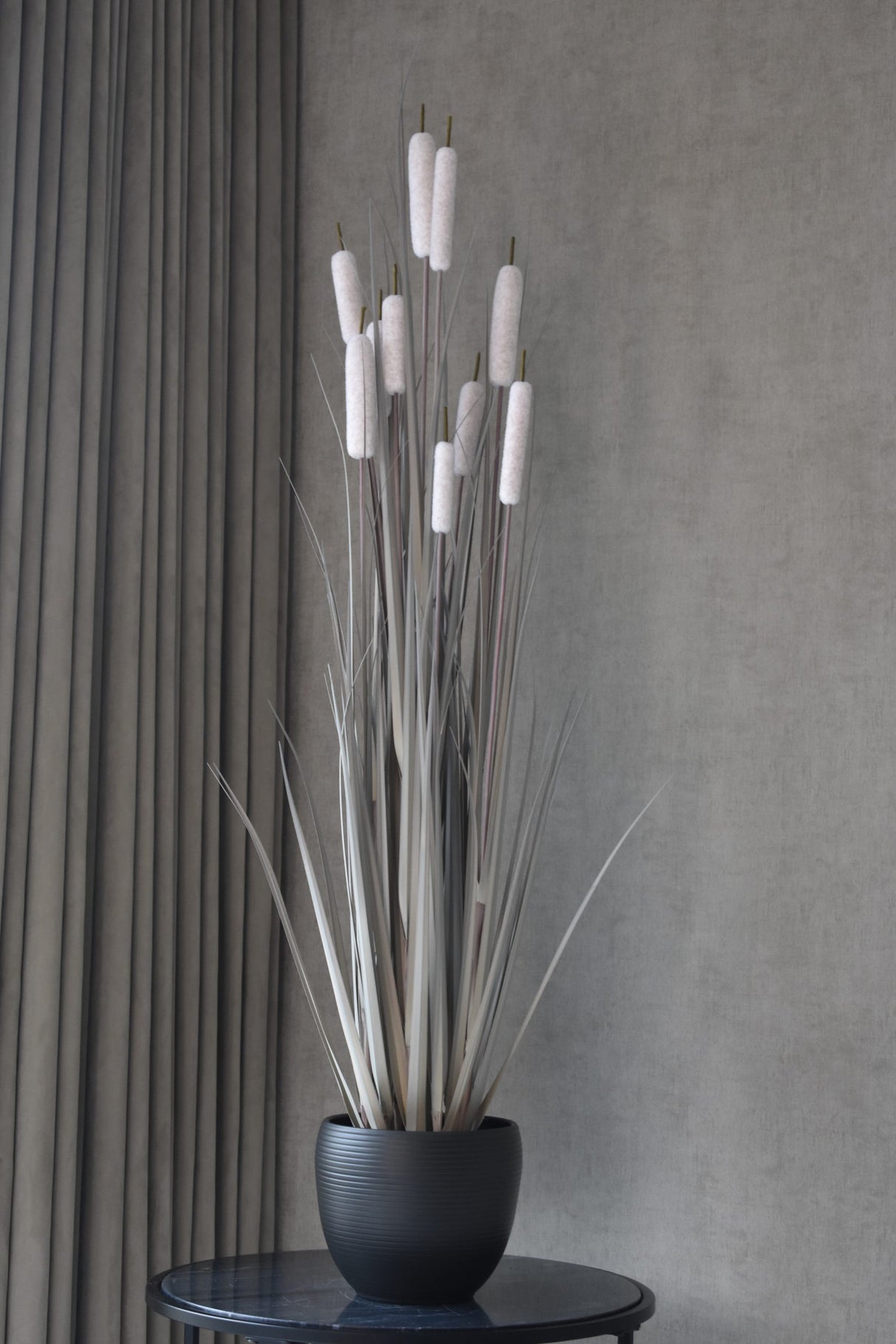 Cattail Grass
