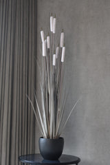 Cattail Grass