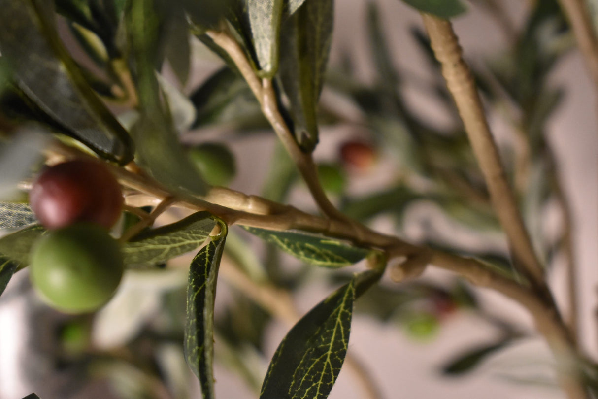 Olive Tree 96cm