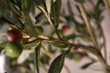 Olive Tree 96cm