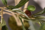 Olive Tree 96cm