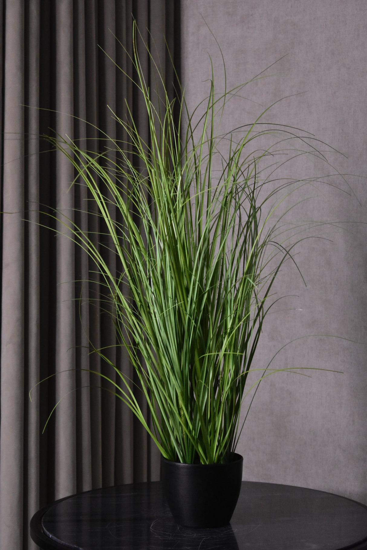 Curly Green Grass