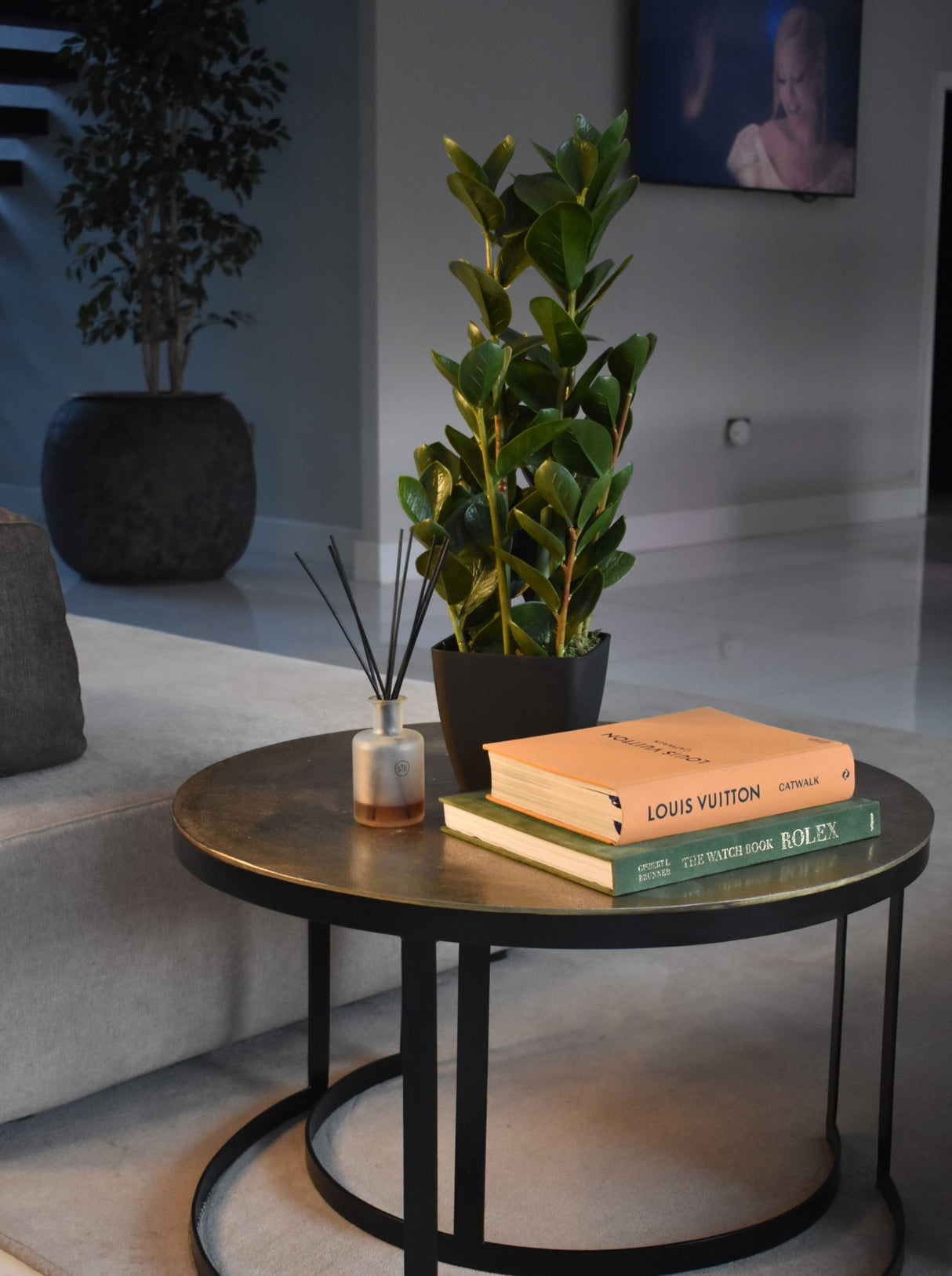 Fiscus Plant 75CM