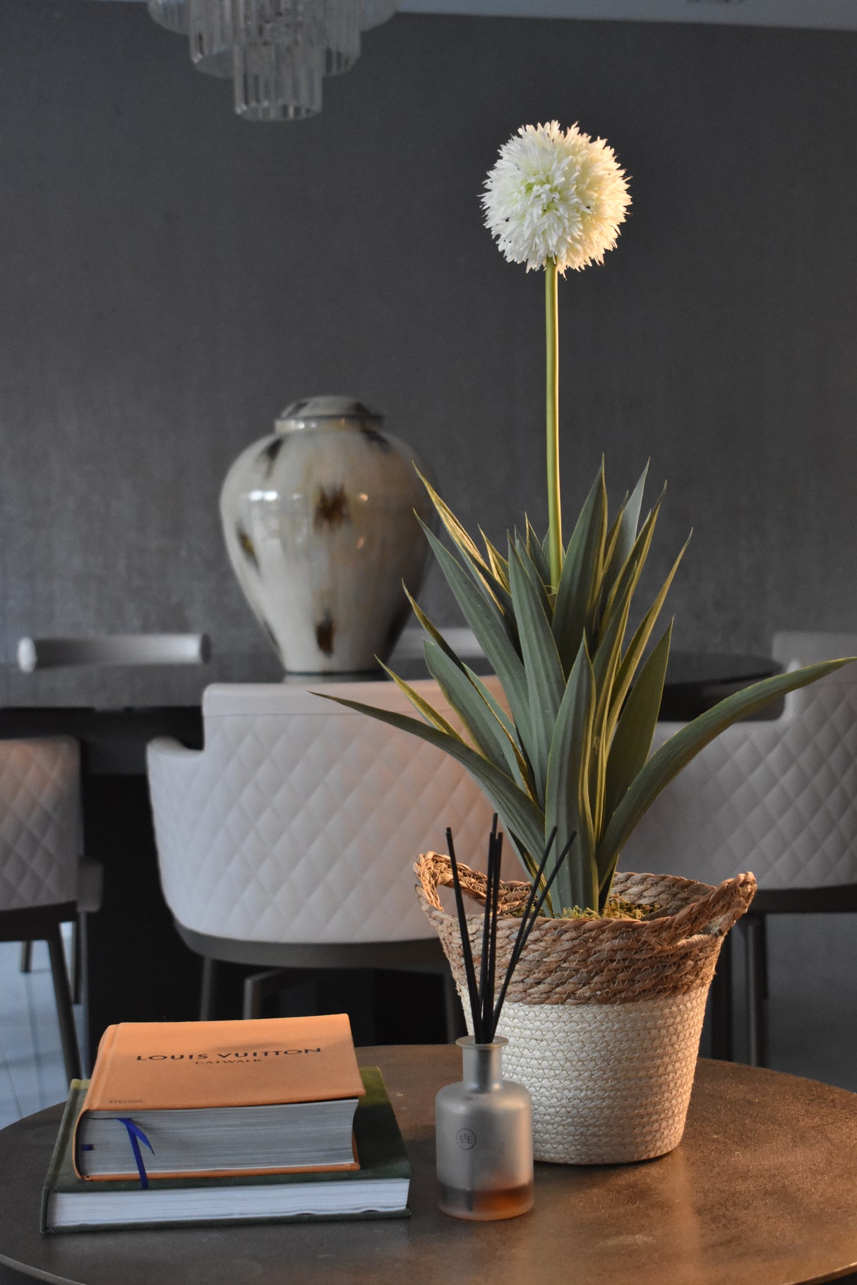 Dandelion Plant