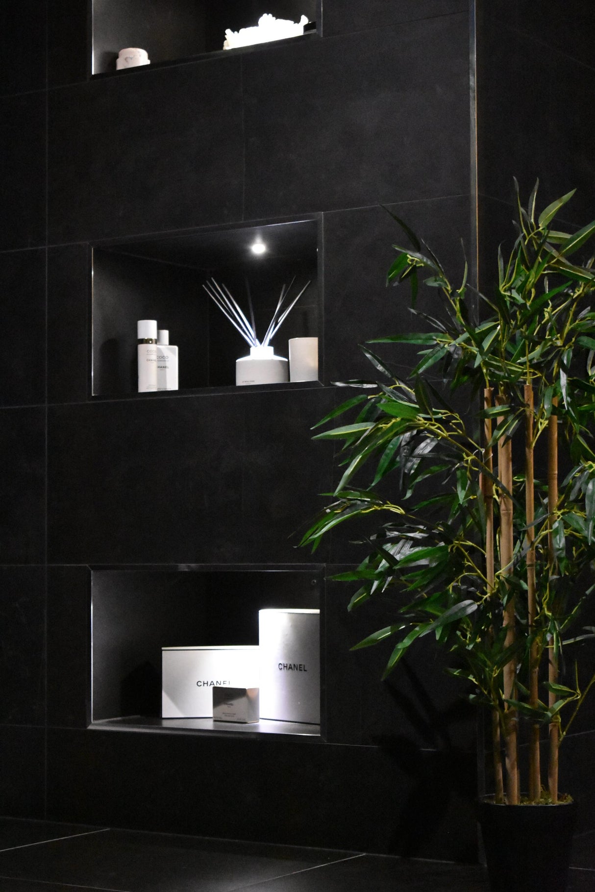 Japanese Bamboo Plant