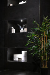 Japanese Bamboo Plant