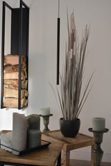 Cattail Grass
