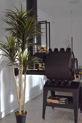 Yucca