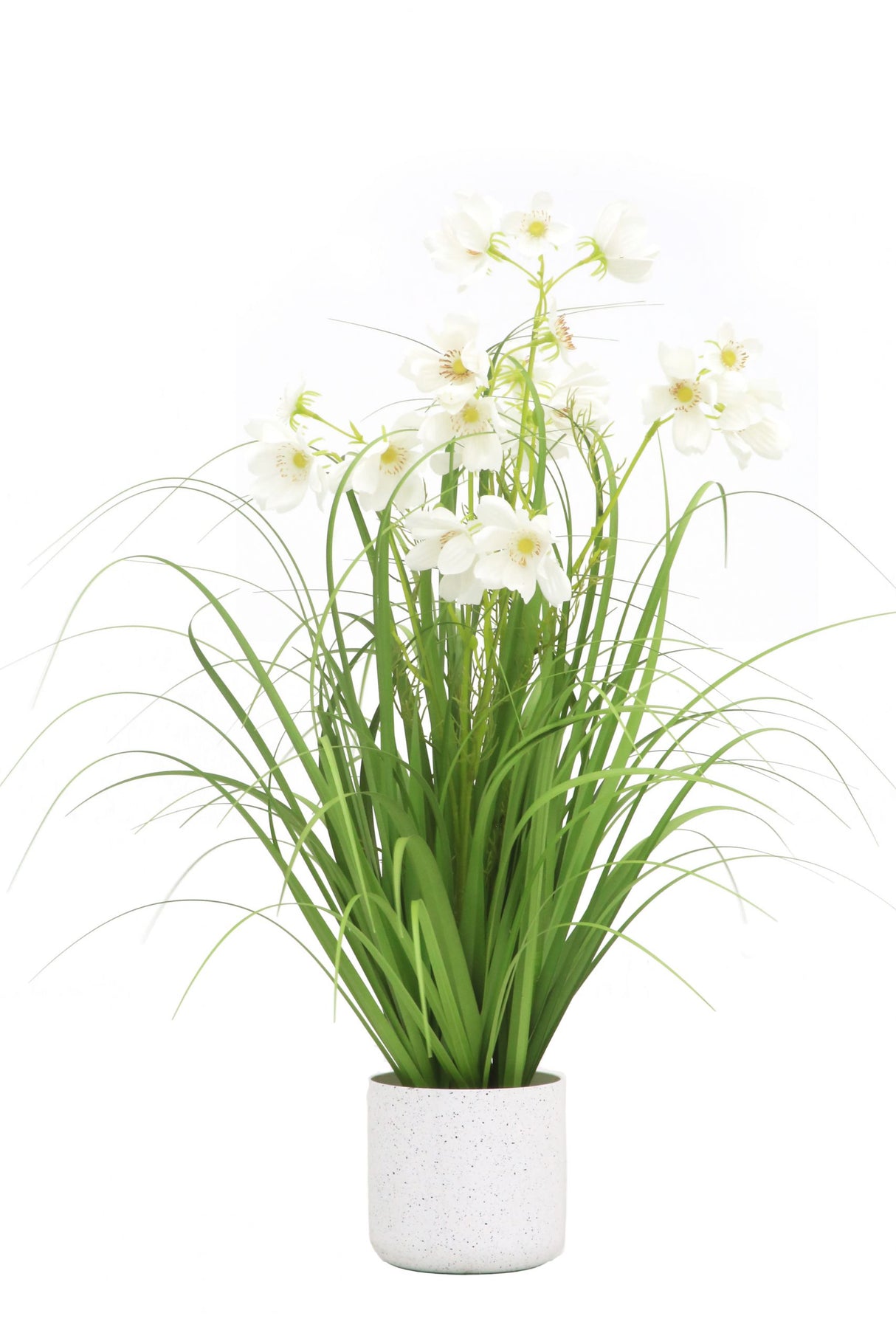 Flower Grass