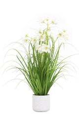 Flower Grass
