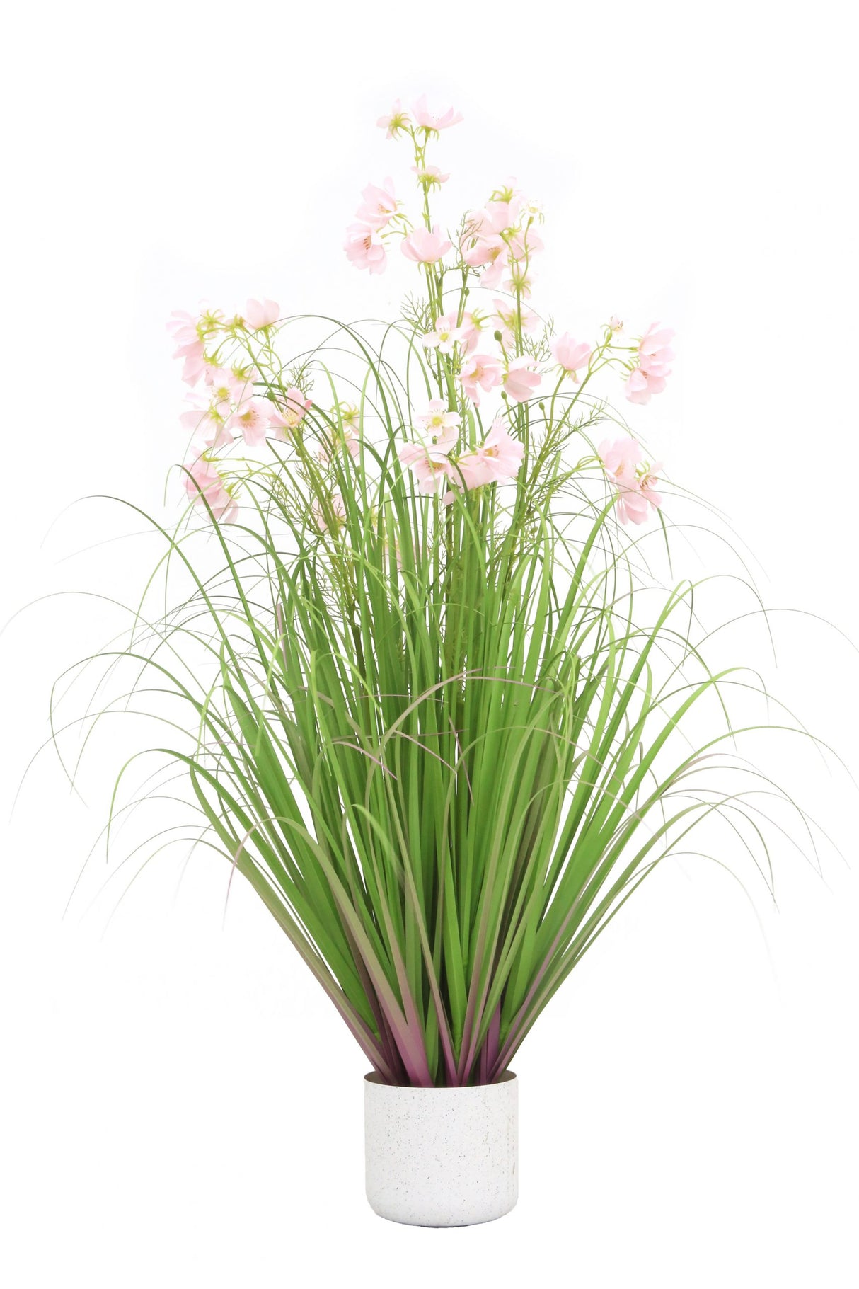 Flower Grass