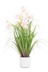 Flower Grass